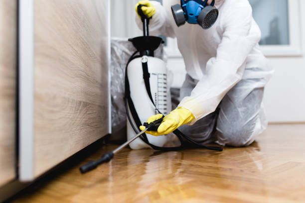 Best Pest Prevention Services  in Walker, MI