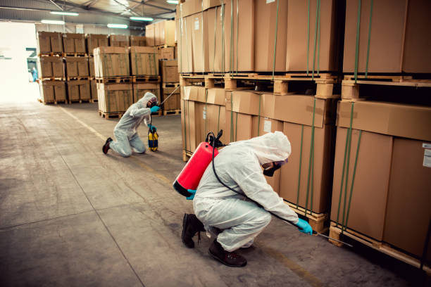 Trusted Walker, MI Pest Control Experts
