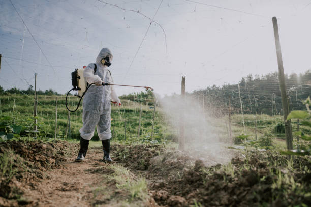 Best Commercial Pest Control Services  in Walker, MI