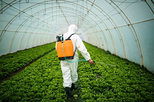 Best Pest Control Near Me  in Walker, MI