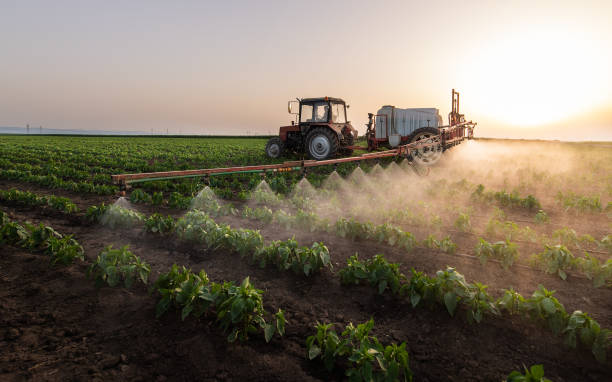 Pest Prevention Services in Walker, MI