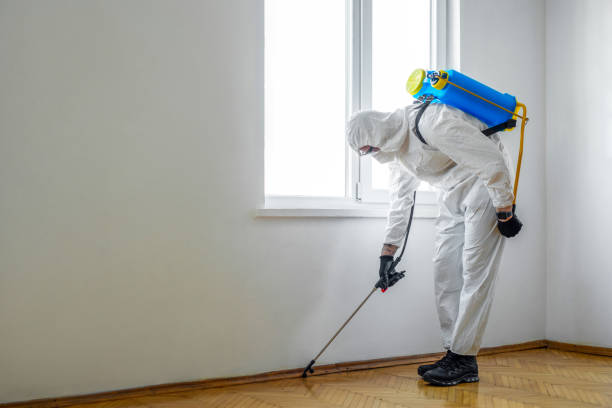 Best Exterminator Services  in Walker, MI