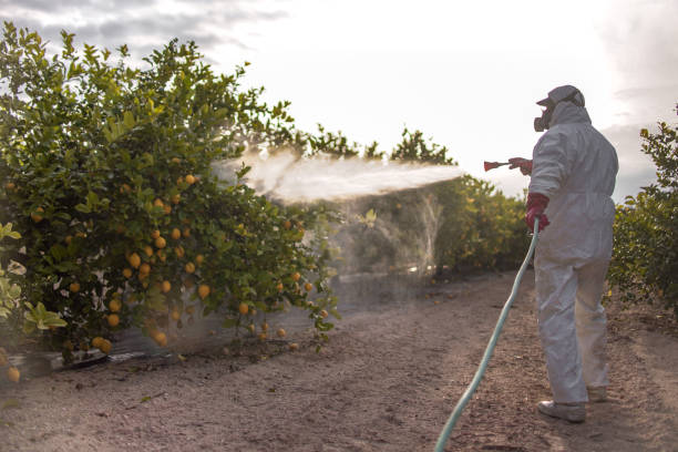 Best Cockroach Control Services  in Walker, MI