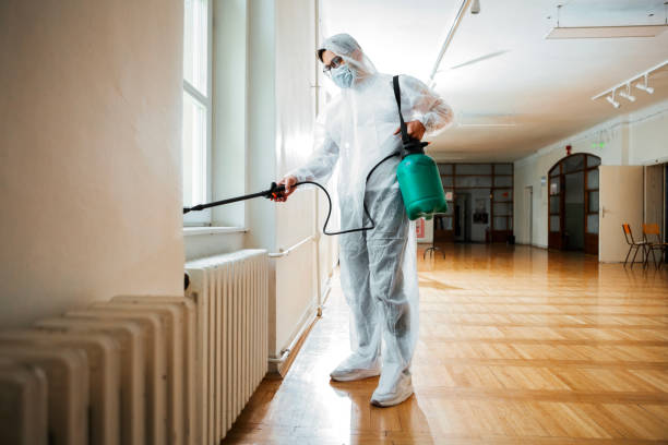 Best Local Pest Control Services  in Walker, MI