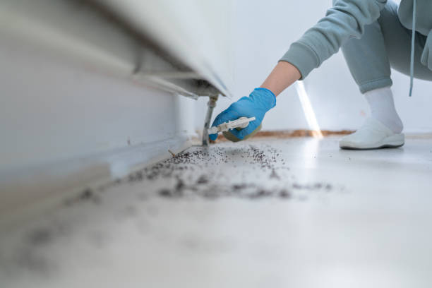 Best Exterminator Services  in Walker, MI