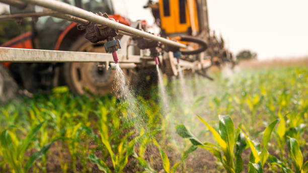Best Ant Control Services  in Walker, MI